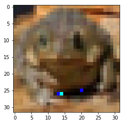 Frog Adversarial Example